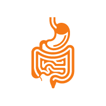 CDO_CLINICA DE OBESIDAD_IMG-15